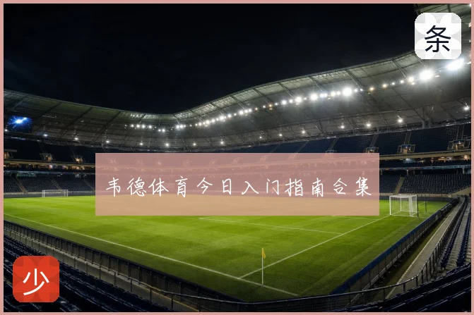 韦德体育今日入门指南合集
