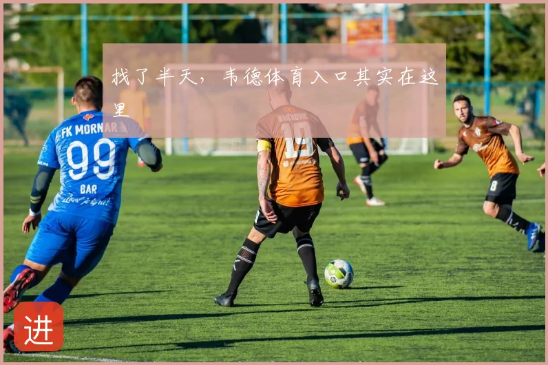 找了半天，韦德体育入口其实在这里
